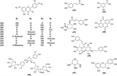 Olive Leaves as a Potential Phytotherapy in the Treatment of COVID-19 Disease; A Mini-Review